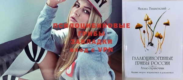 спиды Горно-Алтайск