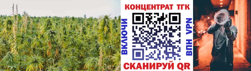 купить закладку Новохопёрск нарко площадка Telegram ТГК гашишное масло