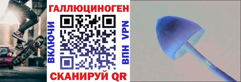 хочу наркоту Новохопёрск Псилоцибиновые грибы Cubensis